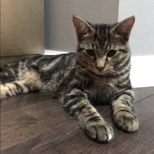 Meet your Posher, Chris